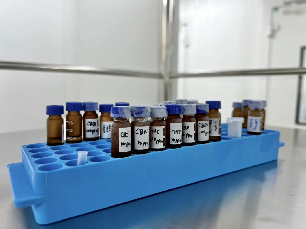 'Diip' พลิกเกม 'ผลิตภัณฑ์ CBD' ทางเลือกใหม่สู้เครียด-นอนไม่หลับ