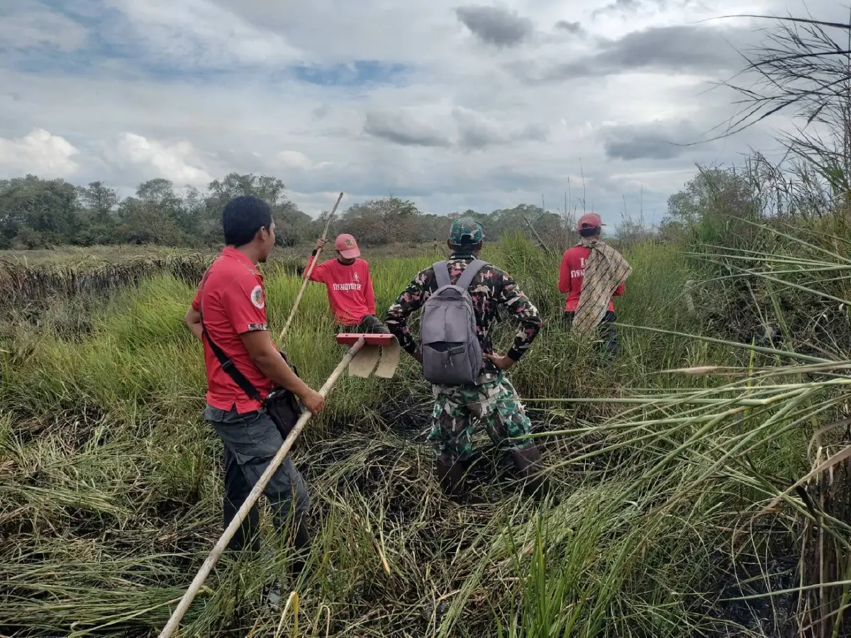อัปเดต 'ไฟไหม้ป่าพรุ' เขตห้ามล่าสัตว์ป่าทะเลน้อย ล่าสุดคุมเพลิงได้แล้ว