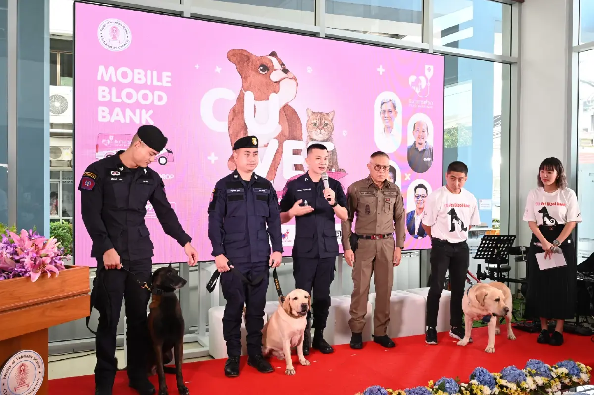 'Mobile Blood Bank' รถบริจาคเลือด จุฬาฯ ช่วยสัตว์ป่วยได้ทันท่วงที