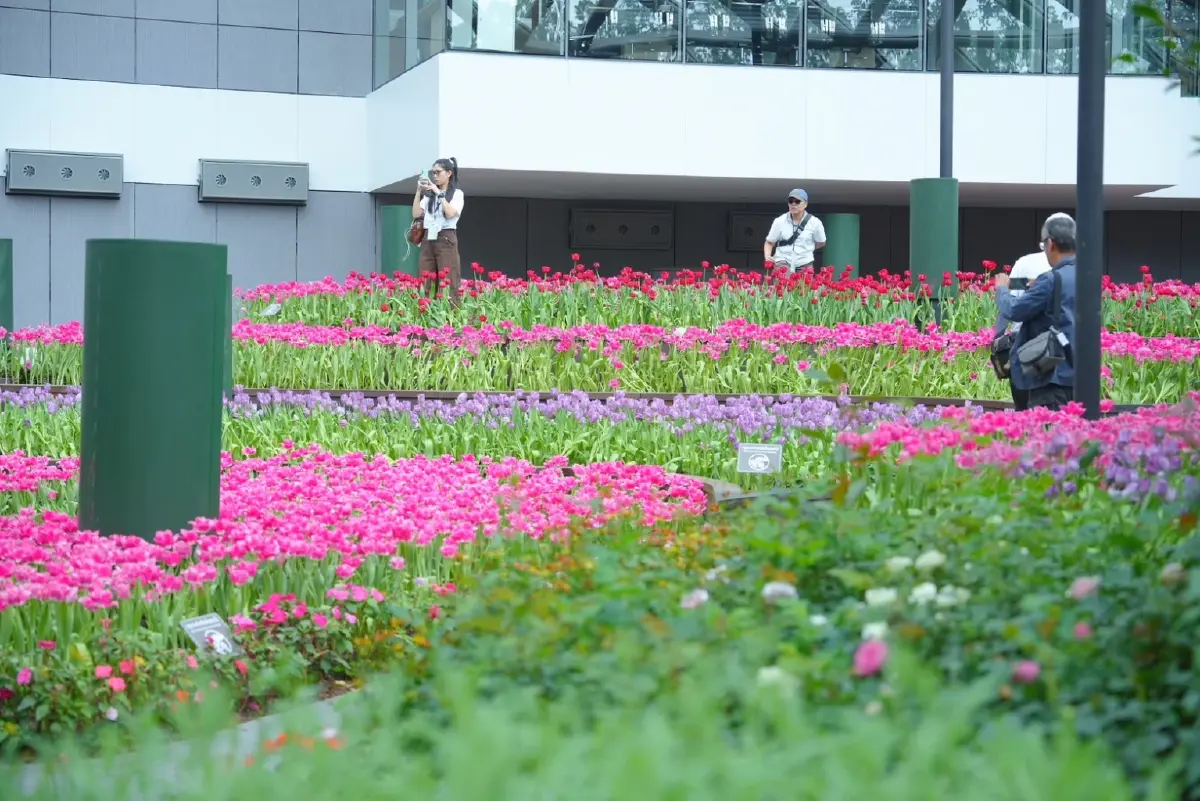 ‘ทีเส็บ’ ขยายพื้นที่ ‘อีอีซี มหานครแห่งไมซ์’  ยกระดับเศรษฐกิจ ‘ระยอง’