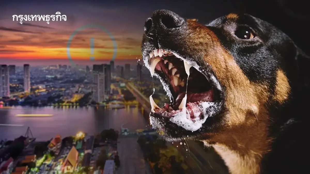 ประกาศเขตโรคระบาด 1 เดือน โรคพิษสุนัขบ้าแพร่ ปทุมธานี - สายไหม กทม.