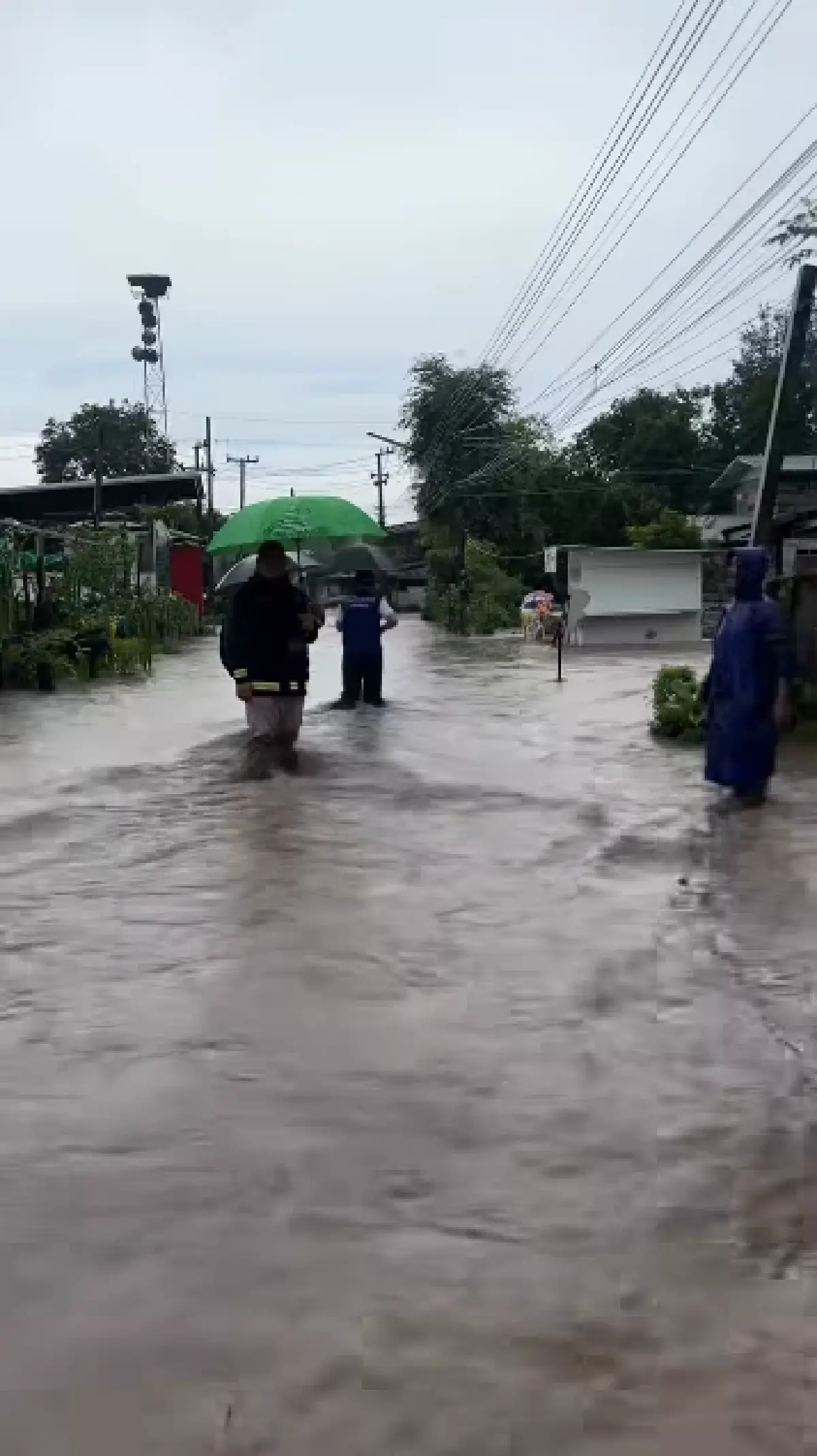 น้ำป่าซัดท่วม อ.วังสะพุง จ.เลย ระดับน้ำขึ้นเร็วมาก 4 หมู่บ้านอ่วม