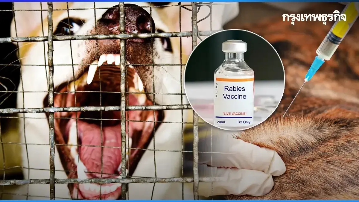 ประกาศ กทม. สมุทรปราการ เขตโรคระบาดพิษสุนัขบ้า 30 วัน ห้ามย้ายสัตว์
