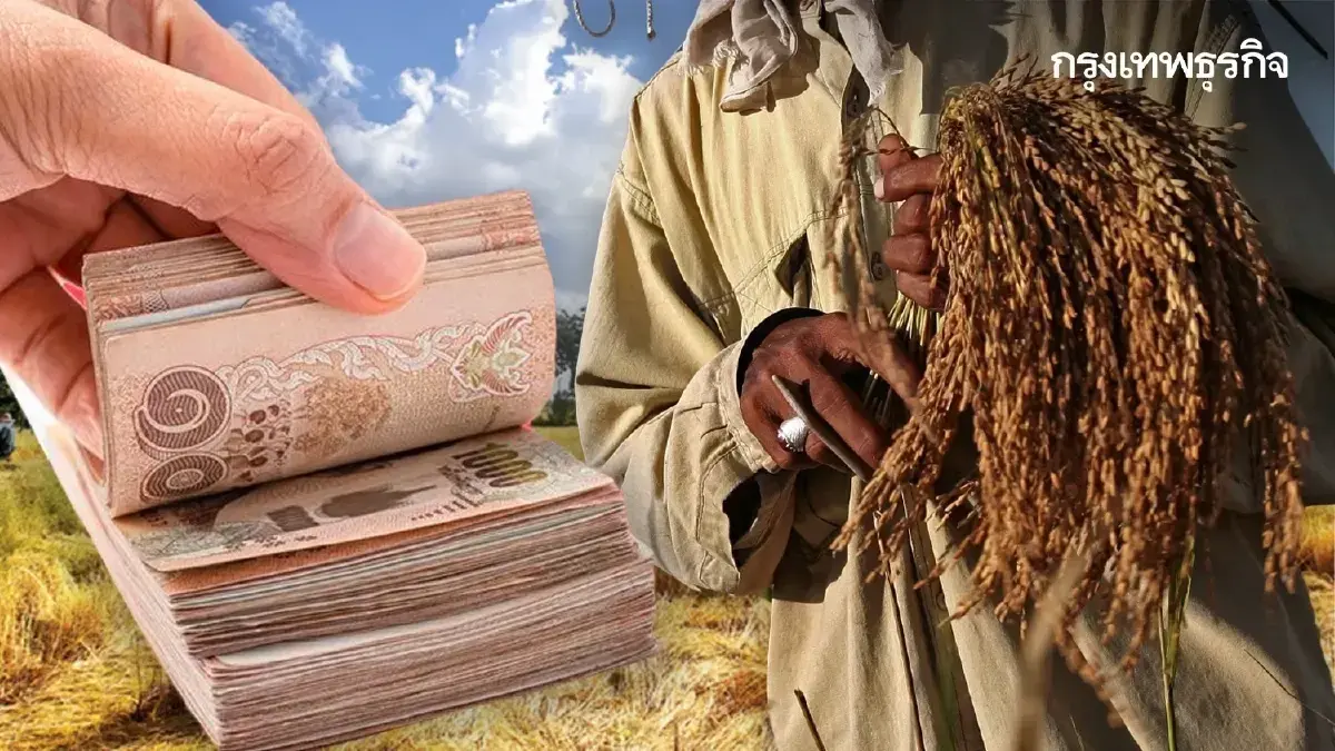 เงินไร่ละ 1,000 เข้าบัญชีอีกรอบวันไหน กำหนด ธ.ก.ส. จ่ายนาปี-นาปรัง