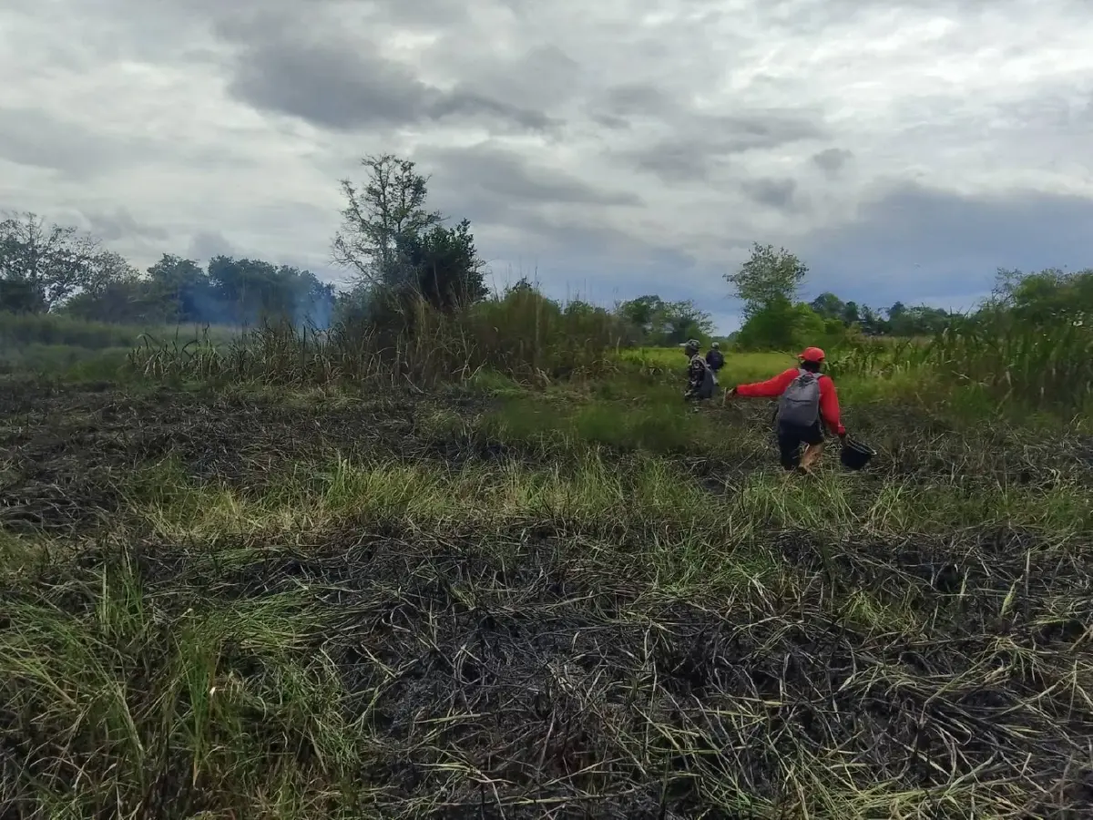 อัปเดต 'ไฟไหม้ป่าพรุ' เขตห้ามล่าสัตว์ป่าทะเลน้อย ล่าสุดคุมเพลิงได้แล้ว