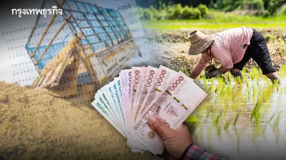 ไร่ละ 1,000 ธ.ก.ส. โอนให้ชาวนา ผู้ปลูกข้าวนาปี 2568/69 เงินถึงเกษตรกร