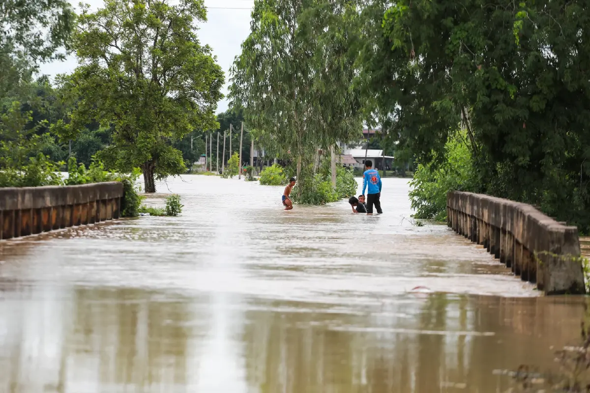 มธ. จี้รัฐเตือนภัย 'ไข้ดิน' คนอีสาน ฤดูฝนระบาดหนัก ดับแล้ว 72 ราย