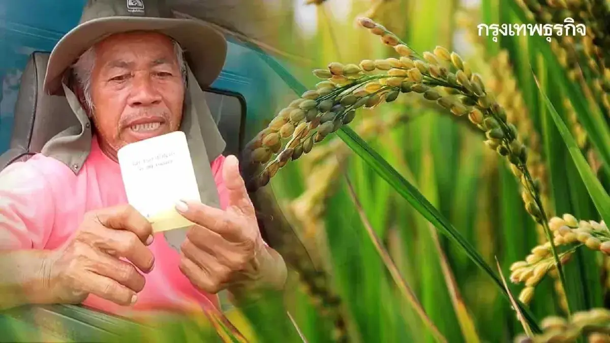 เงินไร่ละ 1,000 เข้าบัญชีอีกรอบวันไหน กำหนด ธ.ก.ส. จ่ายนาปี-นาปรัง
