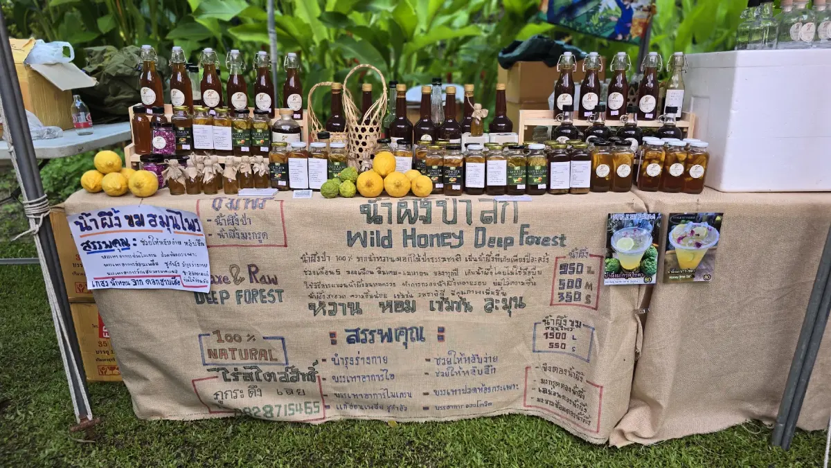 ชวนเที่ยว ใกล้กรุง ‘ตลาดสุขใจ’ และ 'Amazing Green Fest 2025' วันที่ 11-14 ก.ย. 68