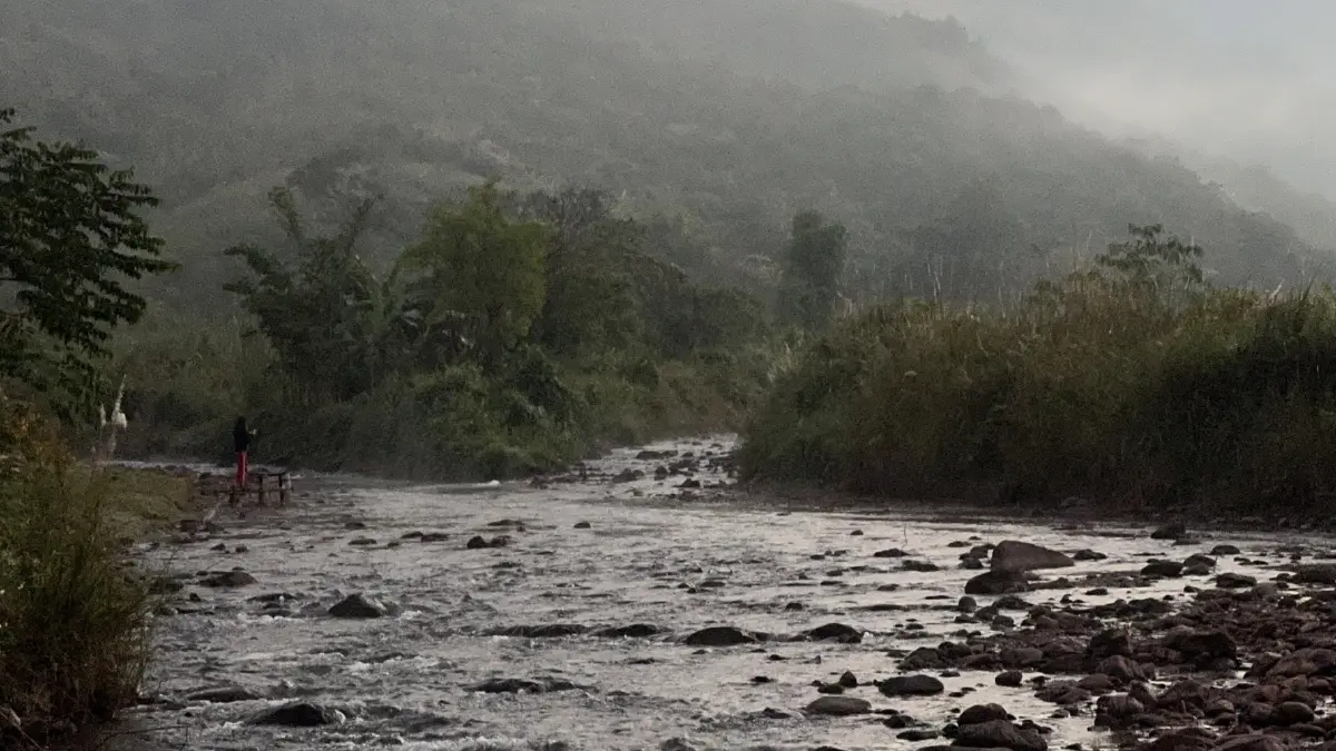 ขุนน่าน คอฟฟี่ 'สงวนสิทธิ์ เรืองดำ'  กับภารกิจ 'คืนผืนป่าให้แม่ด้วยกาแฟพ่อ'