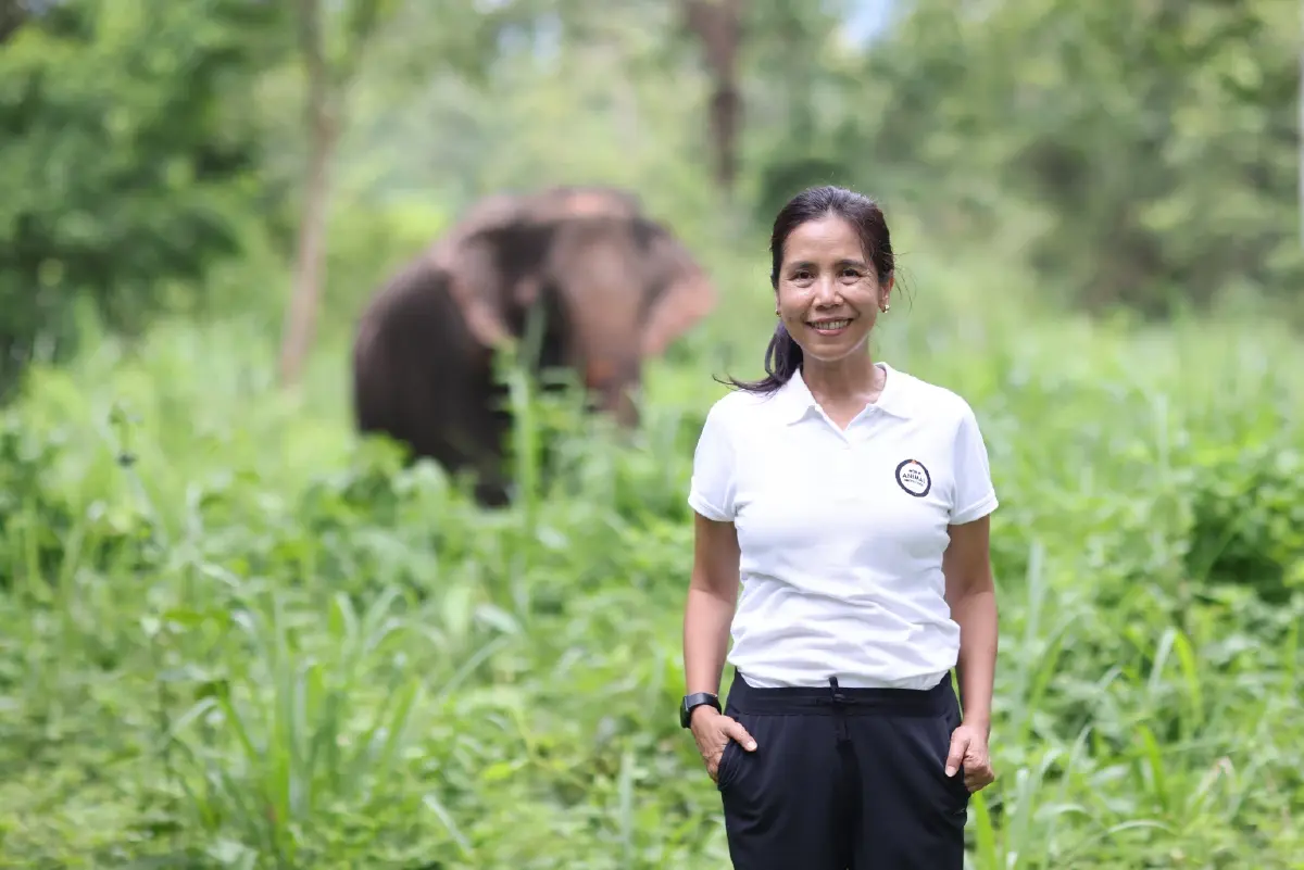 เที่ยว 'ปางช้าง' อย่างเป็นมิตร ไม่ขี่ช้าง ไม่อาบน้ำกับช้าง