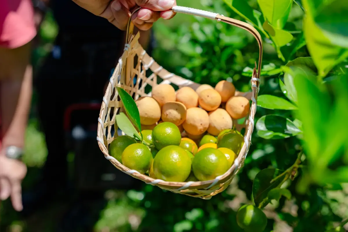 ย้อนรอยความสำเร็จ  "Thai Craft Destination"  ปักหมุดท่องเที่ยวยั่งยืน