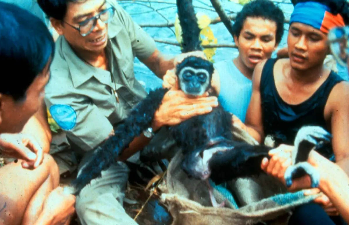 รำลึก 35 ปี 'สืบ นาคะเสถียร' นักอนุรักษ์ที่สละชีวิตเพื่อปกป้องผืนป่าไทย