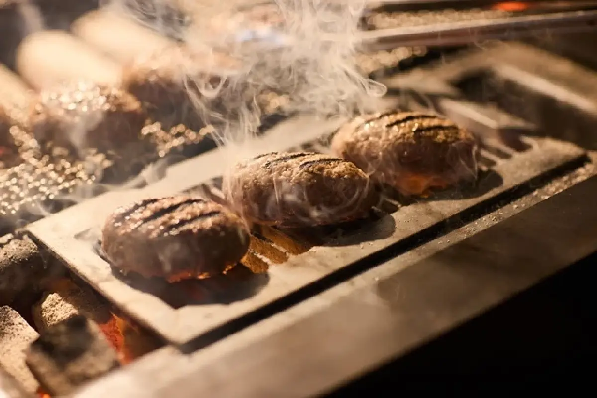 ‘แฮมเบิร์กเตาถ่าน’ นามว่า ‘ฮิคินิคุ โตะ โคเมะ’ บุก ‘เซ็นทรัลพาร์ค’