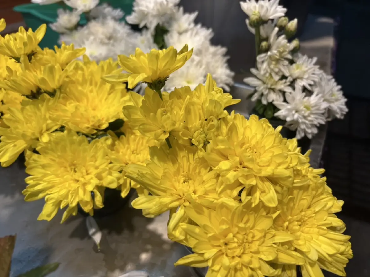 ปฏิทินวันพระเดือนกันยายน 2568 ตรงวันไหน ฤกษ์ดี แคปชั่นวันพระใหญ่