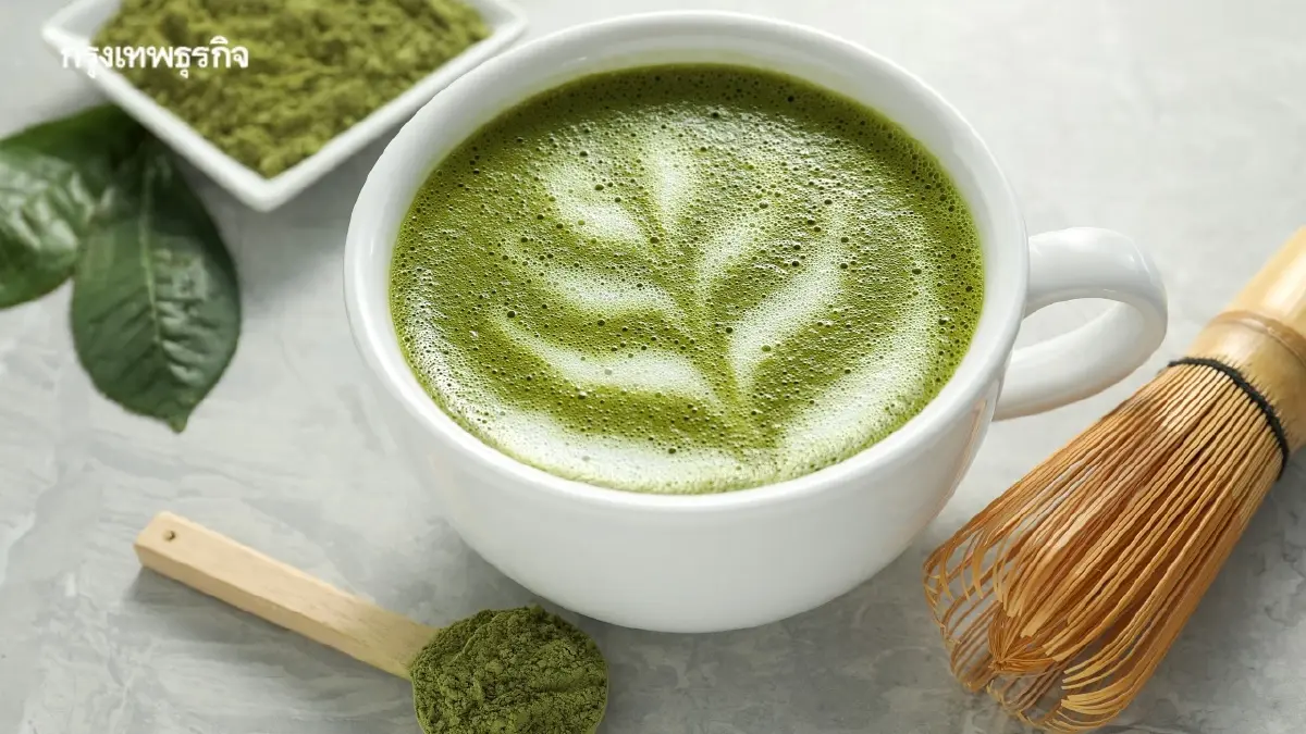 ทำไมมัทฉะฟีเวอร์ไม่หยุด รวบตึง 'มัทฉะ 101' มือใหม่หัดดื่มต้องรู้