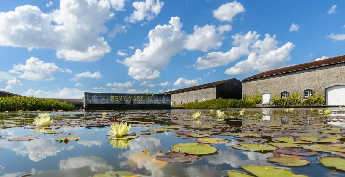 “หลุยส์ 13” ราชาแห่งคอนยักทั้งมวล!