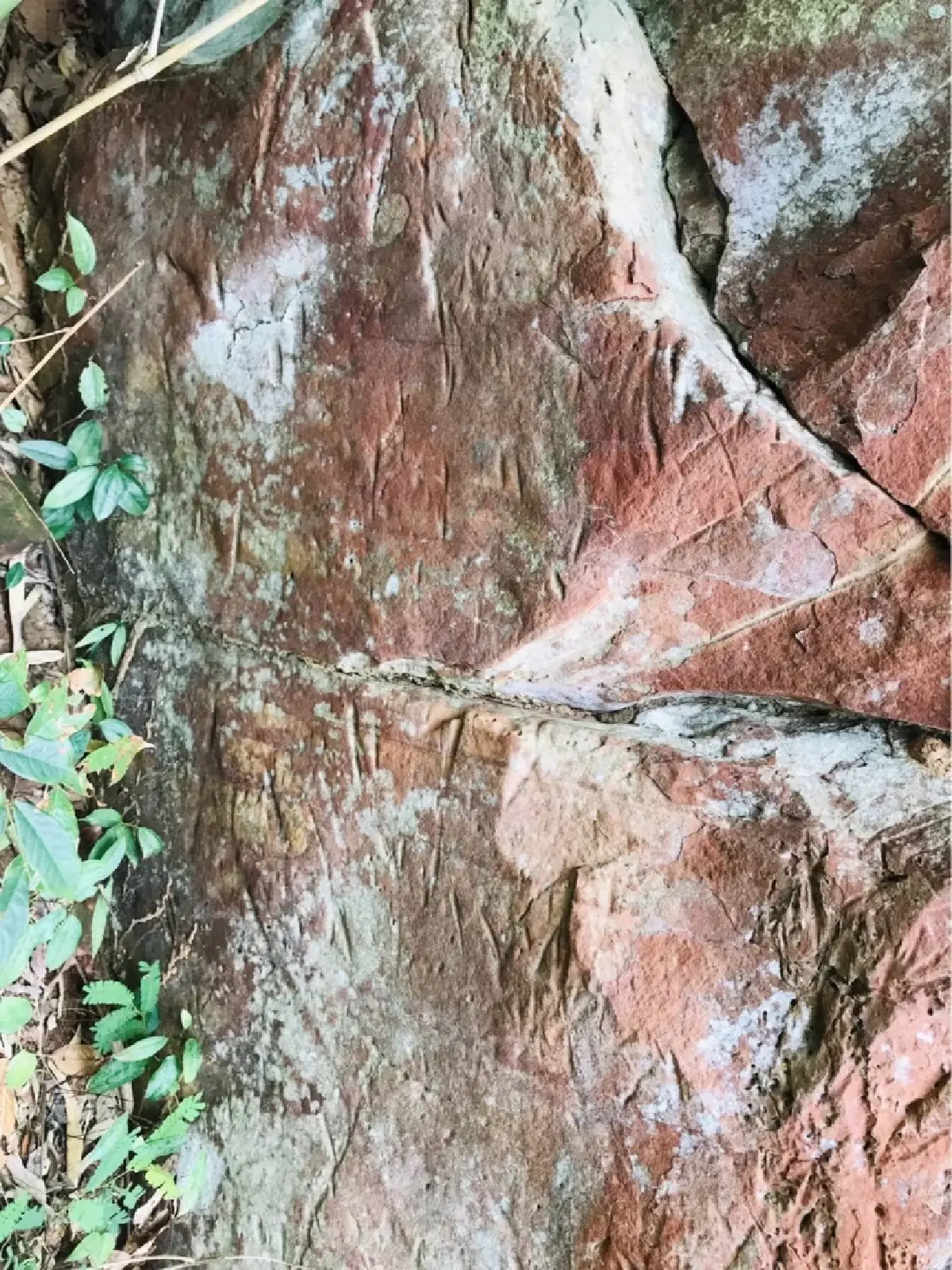 ฮือฮา พบแหล่งโบราณคดีแห่งใหม่ "ผาปางเปือย" บนยอดเขาภูขัด พิษณุโลก