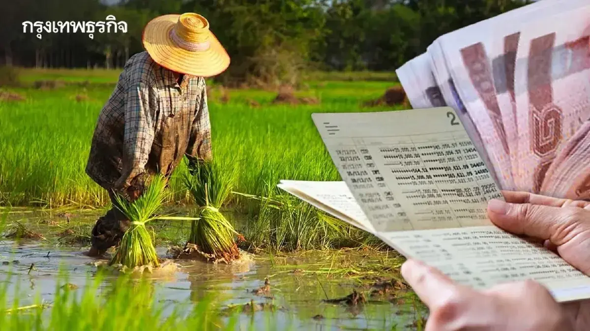 โอนรอบสุดท้าย เงินเข้าแล้ว ไร่ละ 1000 ถึงมือ รัฐจ่ายชาวนาปรัง 68