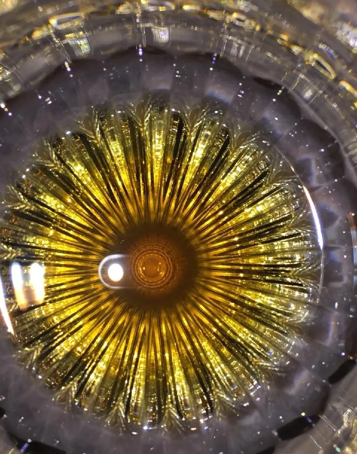 “หลุยส์ 13” ราชาแห่งคอนยักทั้งมวล!