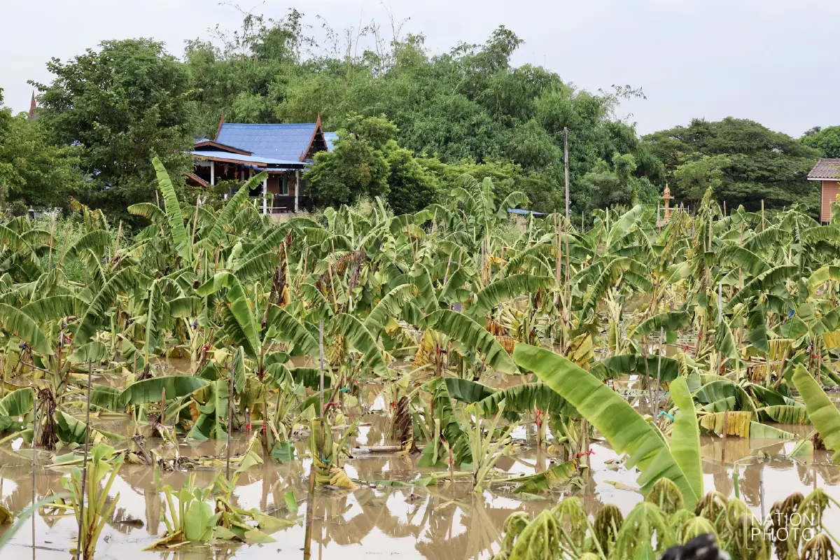 อยุธยาอ่วม น้ำเจ้าพระยาทะลักท่วม 5 อำเภอ เดือดร้อนกว่า 10,000 ครัวเรือน