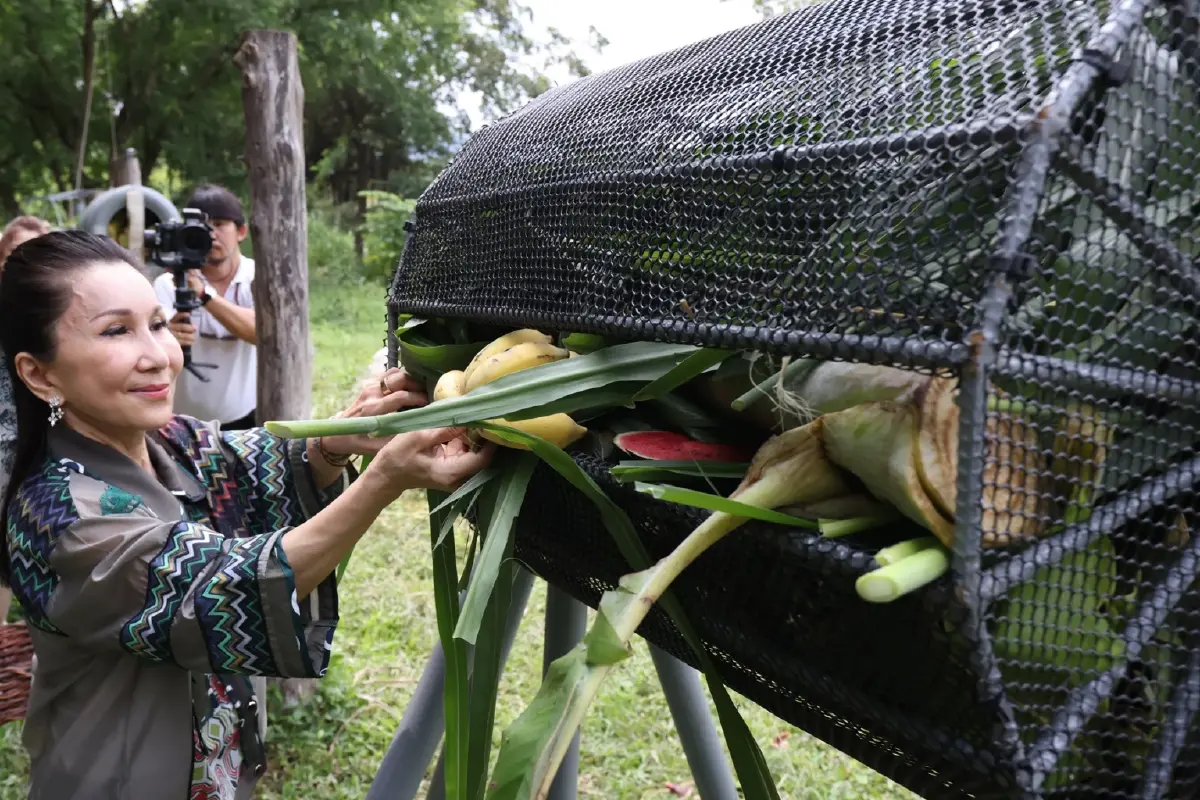 เที่ยว 'ปางช้าง' อย่างเป็นมิตร ไม่ขี่ช้าง ไม่อาบน้ำกับช้าง