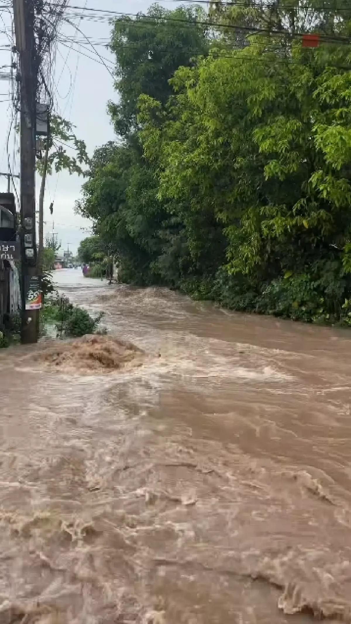 น้ำป่าซัดท่วม อ.วังสะพุง จ.เลย ระดับน้ำขึ้นเร็วมาก 4 หมู่บ้านอ่วม