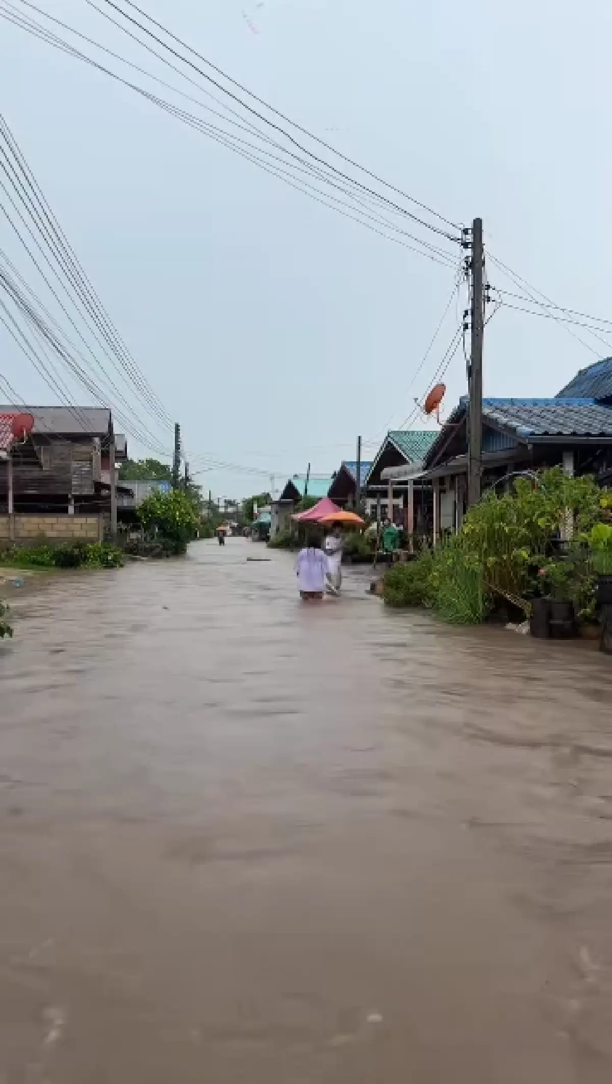 น้ำป่าซัดท่วม อ.วังสะพุง จ.เลย ระดับน้ำขึ้นเร็วมาก 4 หมู่บ้านอ่วม