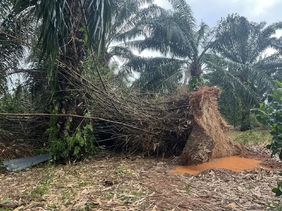 พายุถล่มท่าชนะ กระเบื้องปลิว บ้านพัง โรงเรียนเสียหาย เร่งช่วย