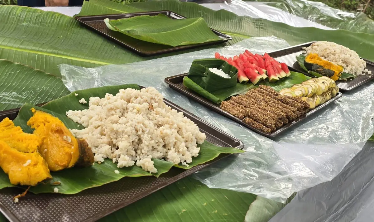 เที่ยว 'ปางช้าง' อย่างเป็นมิตร ไม่ขี่ช้าง ไม่อาบน้ำกับช้าง