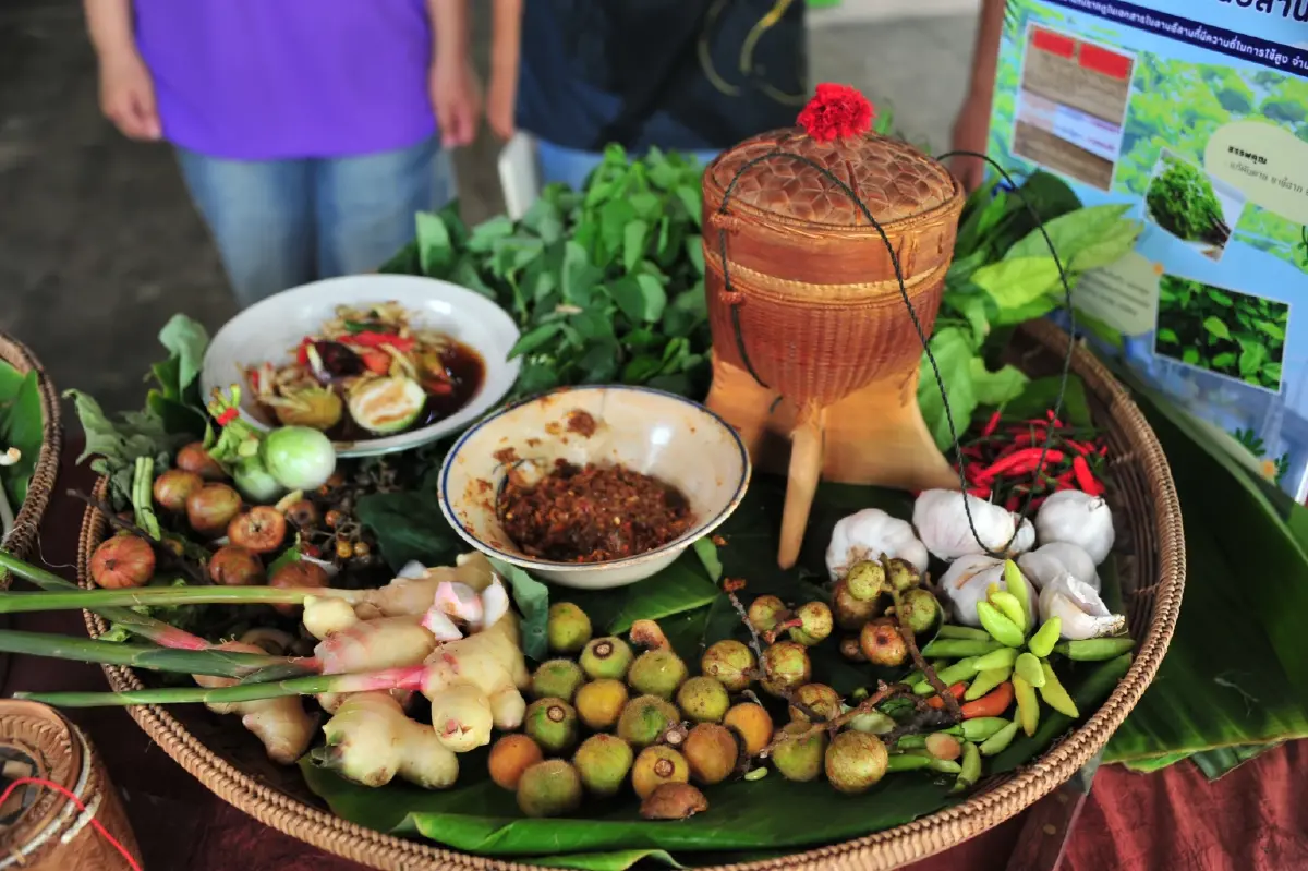 มมส จัดอุทยานวัฒนธรรมสร้างสรรค์ ปั้นมหาลัย แหล่งขับเคลื่อนศก.