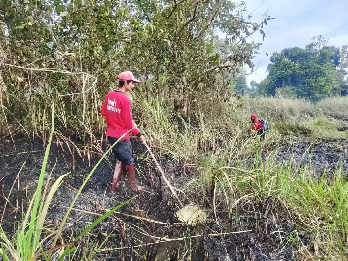 อัปเดต 'ไฟไหม้ป่าพรุ' เขตห้ามล่าสัตว์ป่าทะเลน้อย ล่าสุดคุมเพลิงได้แล้ว