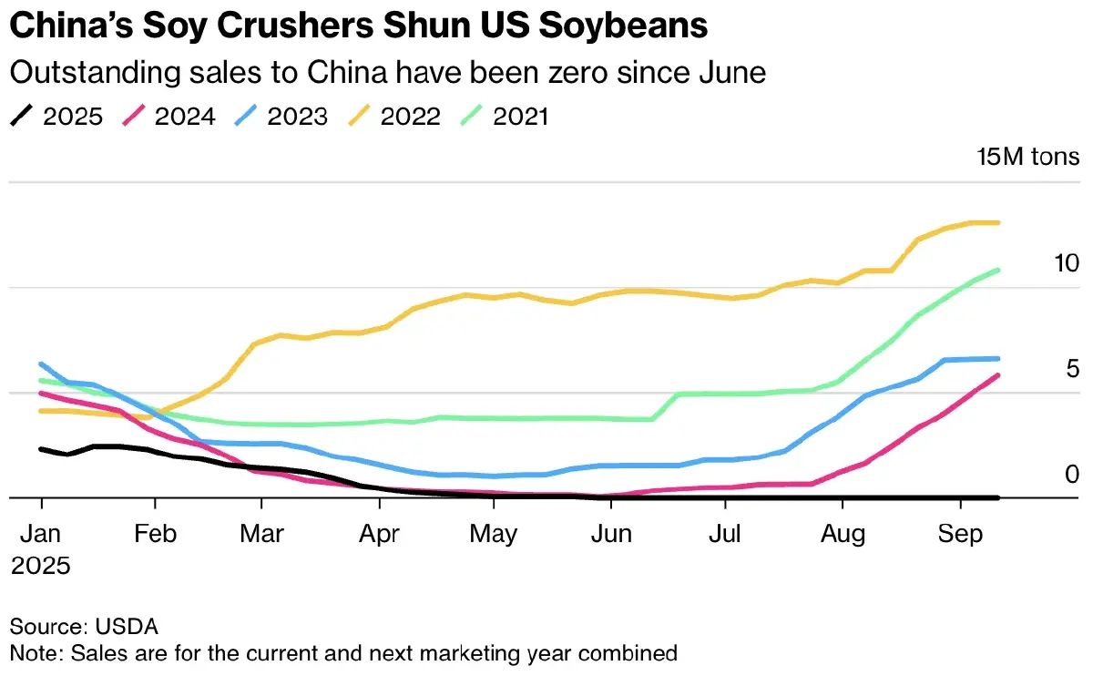 ‘จีน’ ใช้ถั่วเหลืองกดดัน ‘สหรัฐ’  หยุดซื้อในรอบ 30 ปี หวังต่อรองการค้า