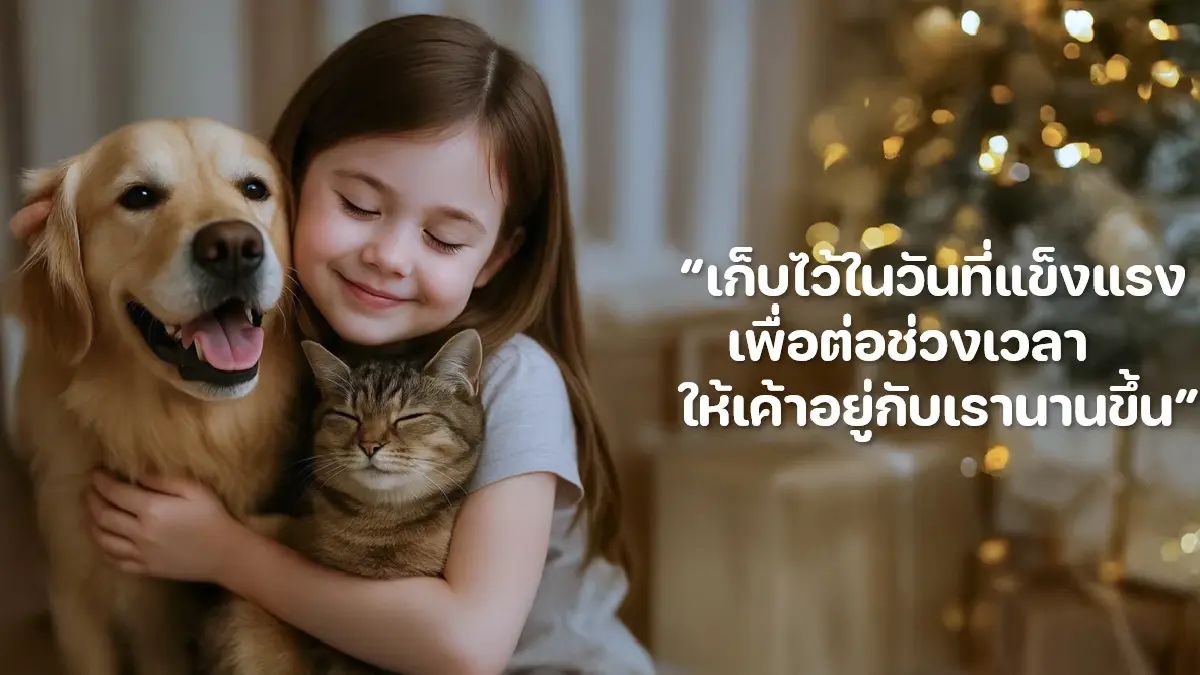 ครั้งแรกในไทย ใช้ ‘สเต็มเซลล์’ รักษา ‘สัตว์เลี้ยง’ ที่เรารัก