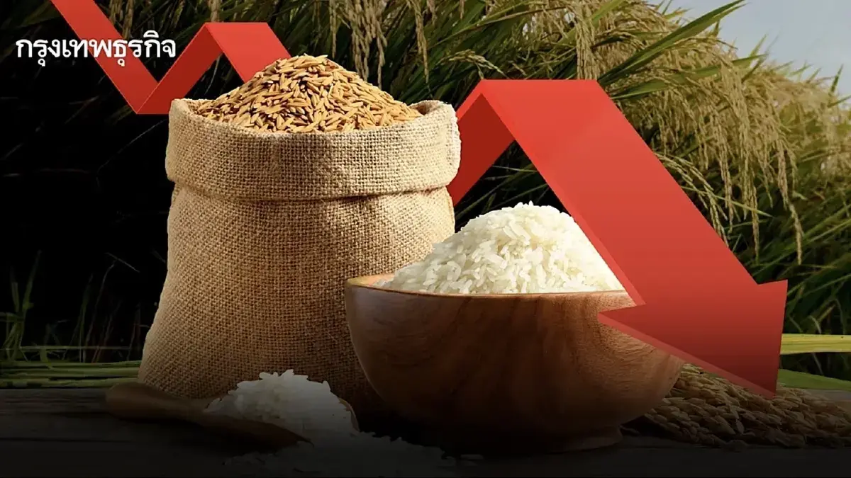 จ่ายแล้ว เงินช่วยเหลือชาวนา ไร่ละ 1000 ตรวจสอบสิทธิ์ ธกส. โอนเข้า
