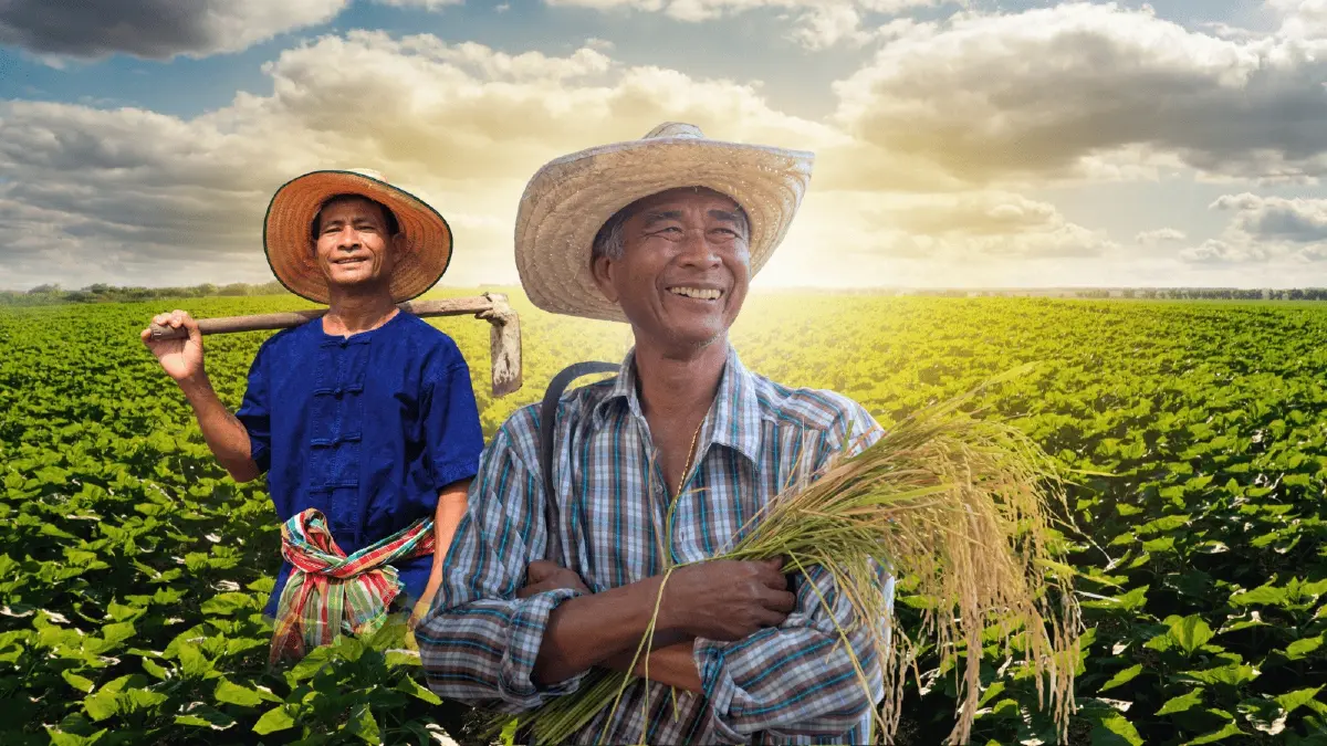 ดัชนีความผาสุกเกษตรกร แตะ 81.39 ภาคใต้ครองแชมป์ต่อเนื่อง