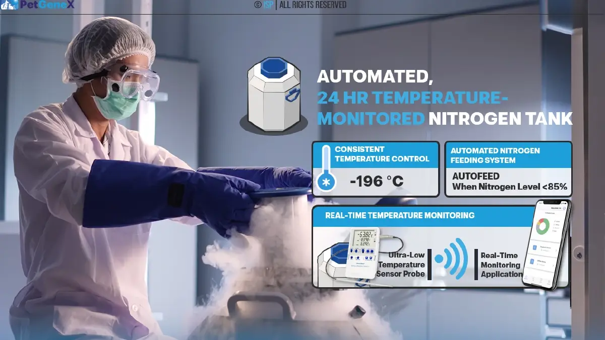 ครั้งแรกในไทย ใช้ ‘สเต็มเซลล์’ รักษา ‘สัตว์เลี้ยง’ ที่เรารัก