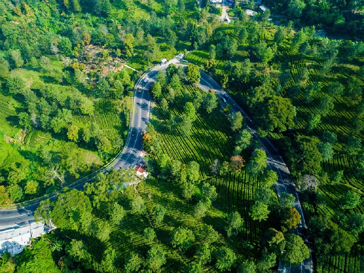 ท่องเที่ยวชนบทมาแรง คนอยากฮีลใจ!  ‘อโกด้า’ เผย ‘เขาใหญ่’ คว้าอันดับ 2 เมืองชนบทยอดนิยมในเอเชีย