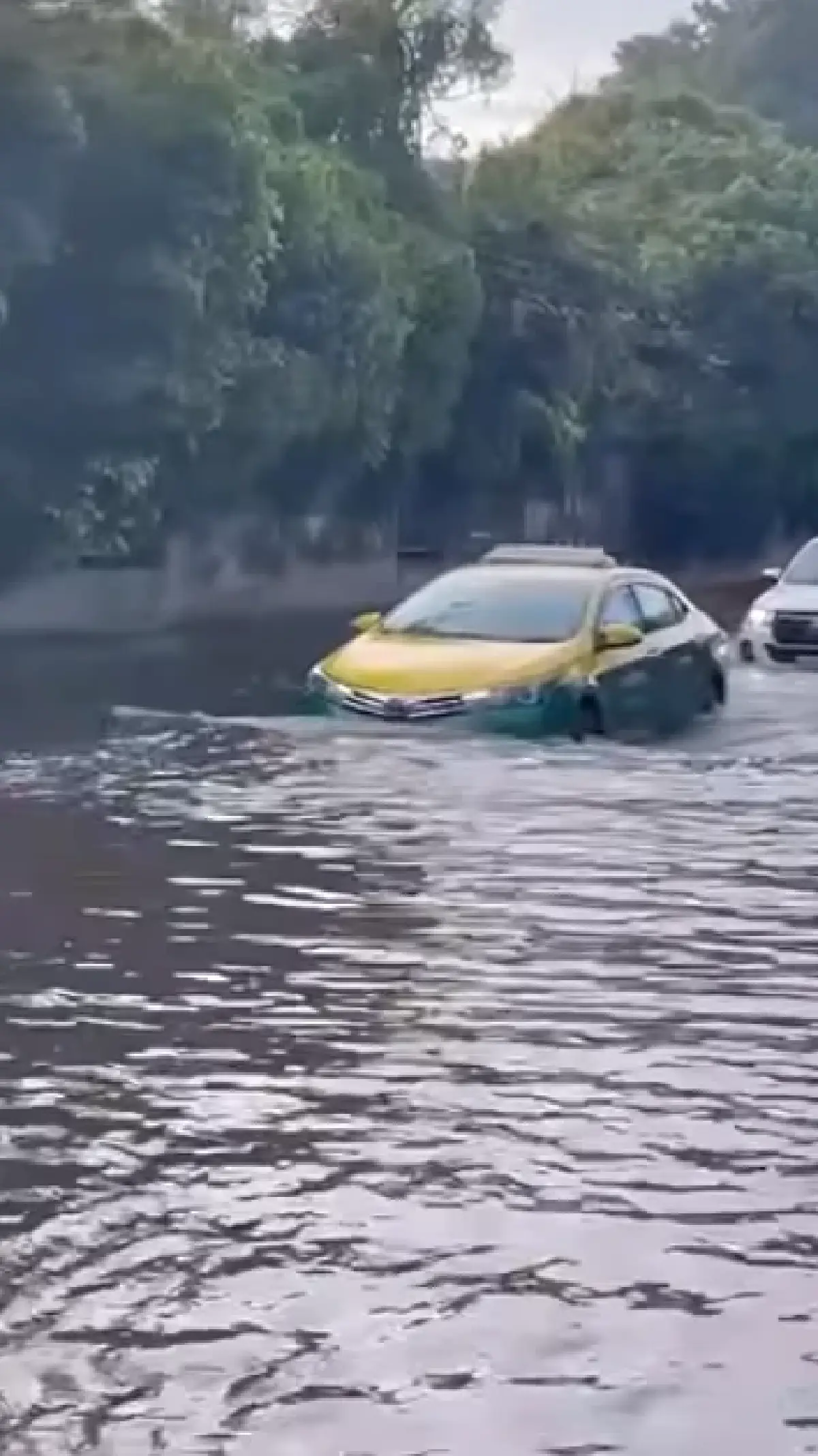 รถติด น้ำท่วมกรุงเทพ น้ำรอระบาย สุขุมวิท พัฒนาการ ศรีนครินทร์ เช็ก