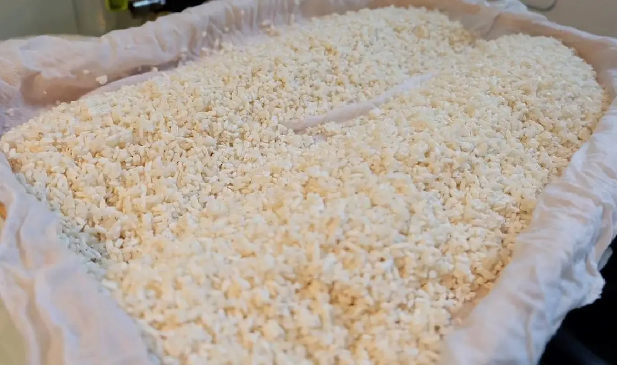 สาเก ทุกสิ่งทุกอย่างของคนญี่ปุ่น