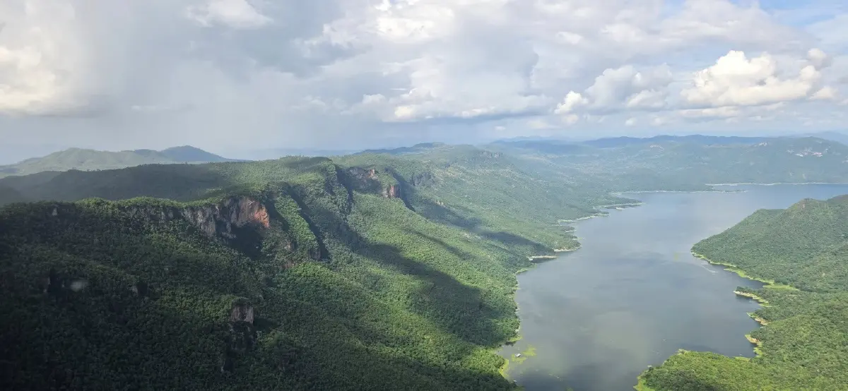 'ป่าแม่ตื่น' แหล่งไม้สักไทย ผลิดอกเหลืองสะพรั่ง ท่ามกลางแก๊งตัดไม้คุกคาม