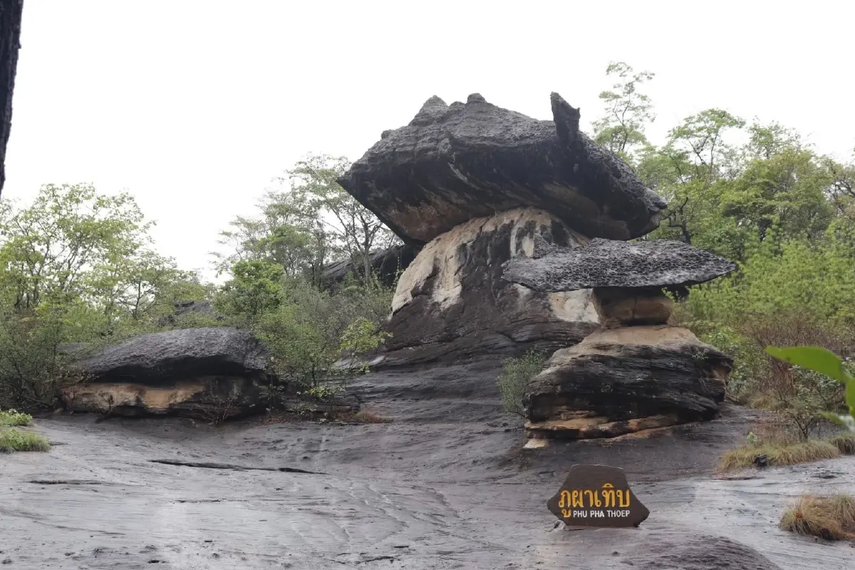 ตอกย้ำความสำเร็จ! กรมอุทยานฯ คว้า 4 รางวัล Thailand Tourism Awards 2025