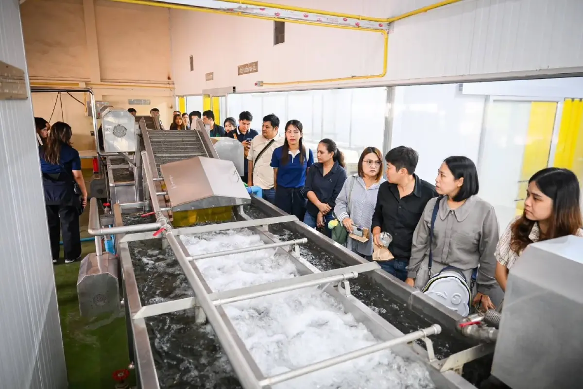 มกอช.เร่งหาวิธี สกัดลำไยปนเปื้อนซัลเฟอร์ไดออกไซด์ ส่งจีน