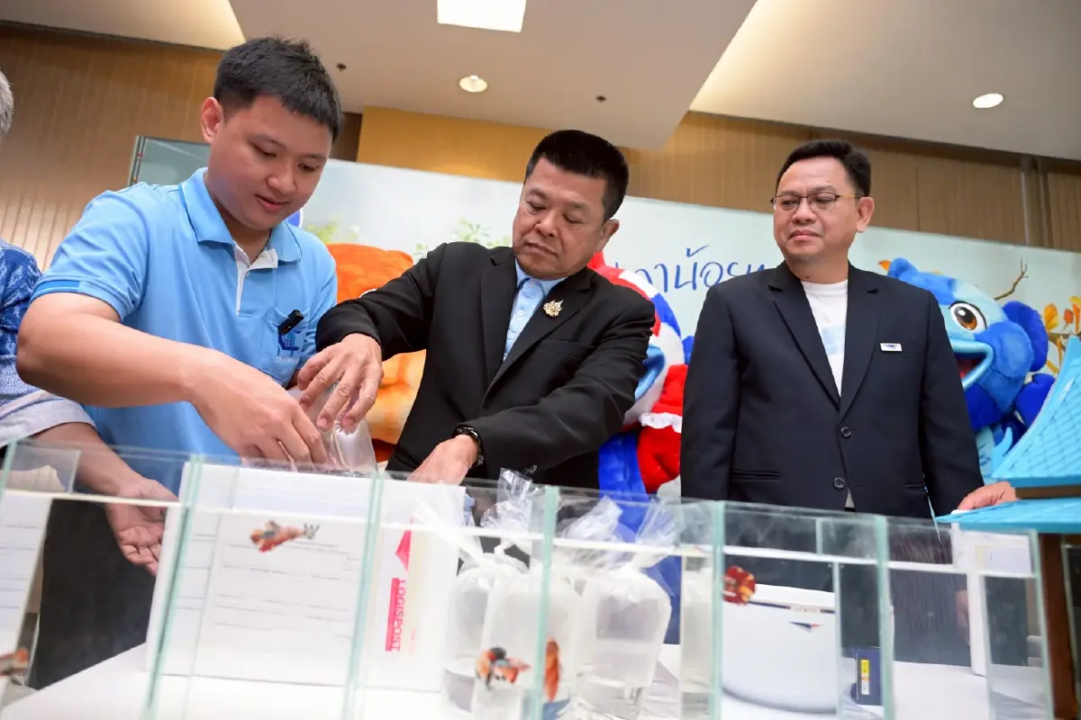 ไปรษณีย์ไทย–กรมประมง รุกตลาดสัตว์น้ำสวยงาม ส่งปลากัดไทยนำร่อง 5 ประเทศชิงเค้กหมื่นล.
