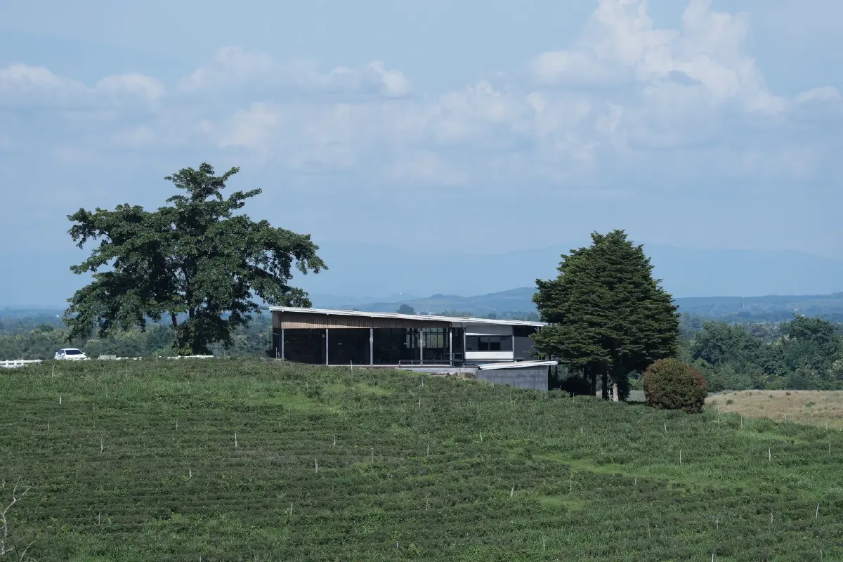 ไปกันคราฟต์! 'เที่ยวเชียงราย' ดินแดนศิลปะ ตามรอยศิลปินล้านนา