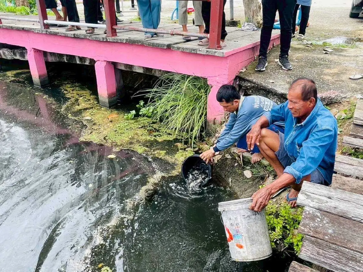 ประมงผนึกซีพีเอฟ ปล่อยปลานักล่าปลาหมอคางดำต่อเนื่อง ฟื้นสมดุลแหล่งน้ำ