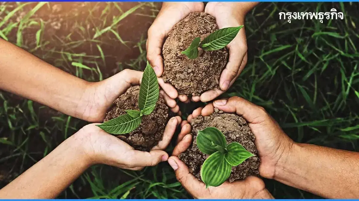 แจกฟรี ต้นไม้ฟอกอากาศ ไม้มงคล ให้จริงหลายต้น รับได้เลยที่ BTS