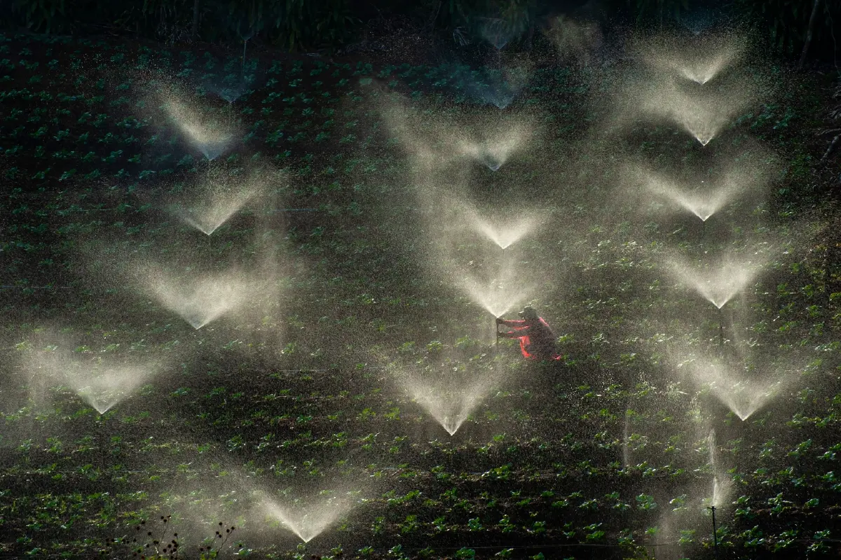 โครงการ ASEAN SX Photo Contest 2025 เวทีประกวดภาพถ่ายเพื่อความยั่งยืนระดับอาเซียน