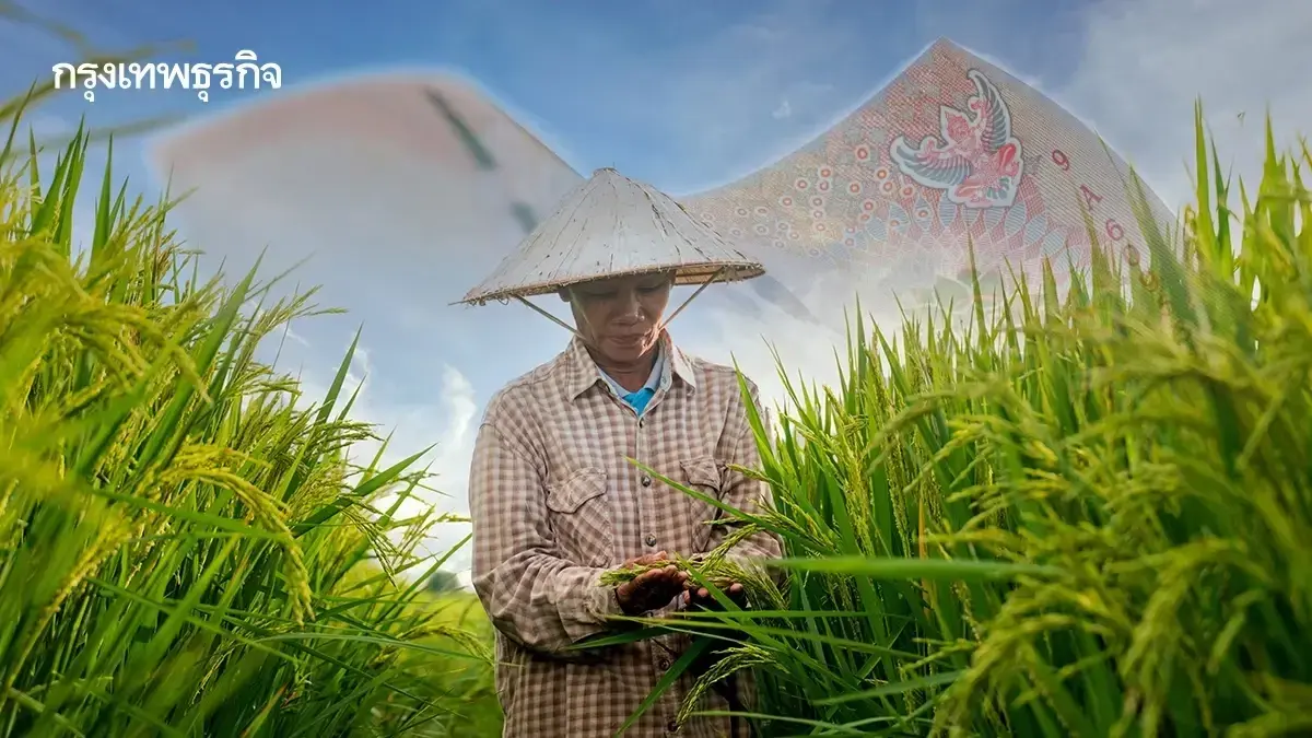 เช็กไร่ละ 1000 ถึงคิวสุดท้าย 'นาปรัง 68' ธกส จ่ายตรงช่วยเหลือชาวนา