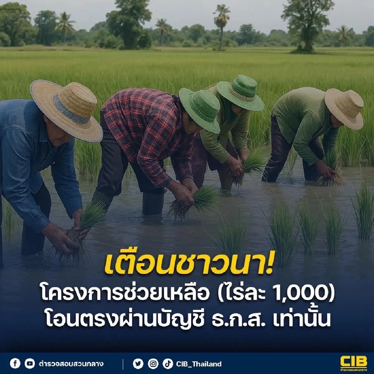 ตำรวจเตือน เงินช่วยเหลือชาวนา ไร่ละ 1,000 โอนตรงผ่านบัญชี ธ.ก.ส. เท่านั้น
